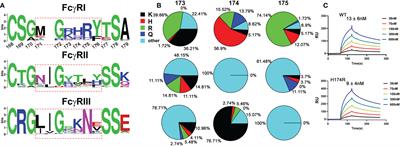 FcγRI FG-loop functions as a pH sensitive switch for IgG binding and release